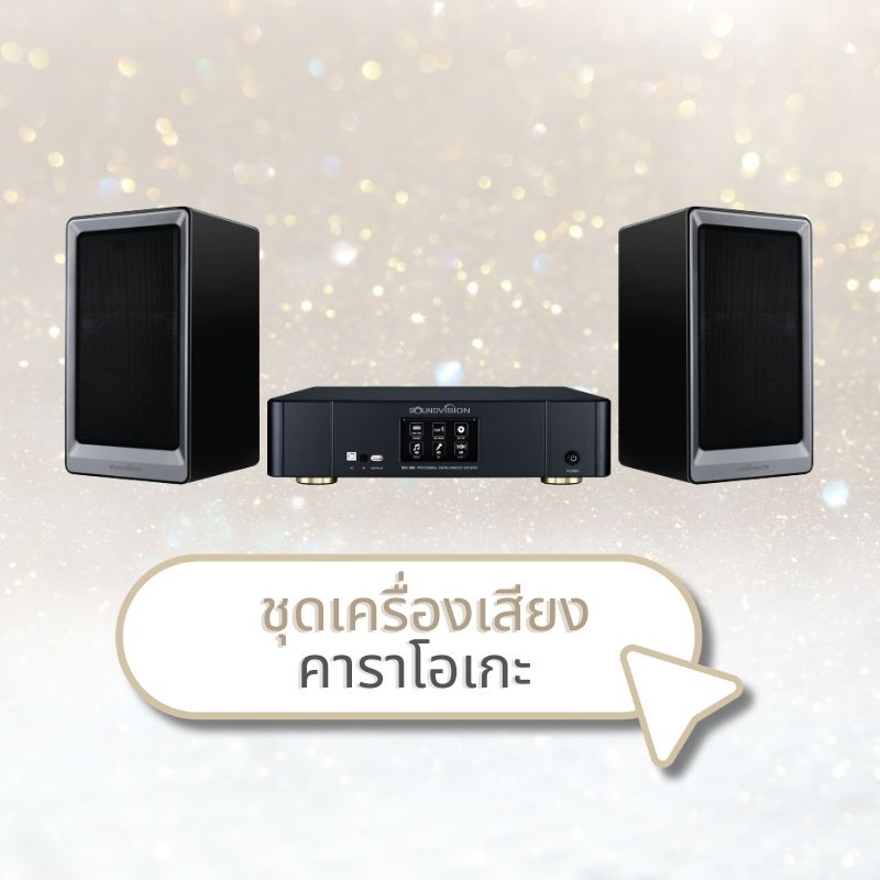 ชุดเครื่องเสียงคาราโอเกะ