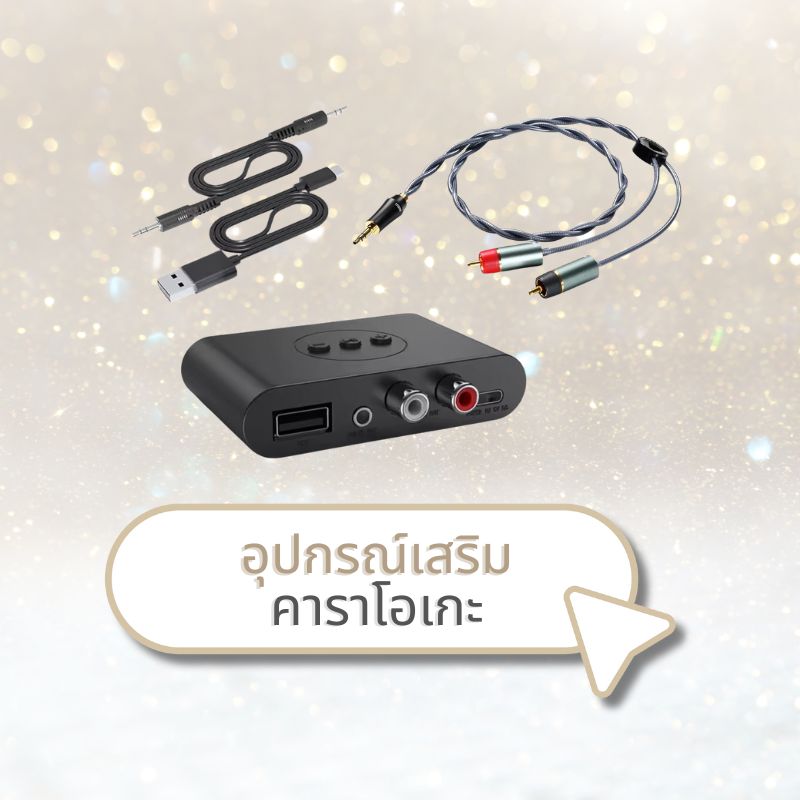 อุปกรณ์เสริมคาราโอเกะ